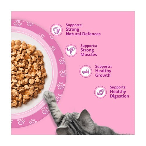 Whiskas cat food pouches poultry feasts 40x85g (British brand)
