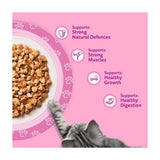 Whiskas cat food pouches poultry feasts 40x85g (British brand)
