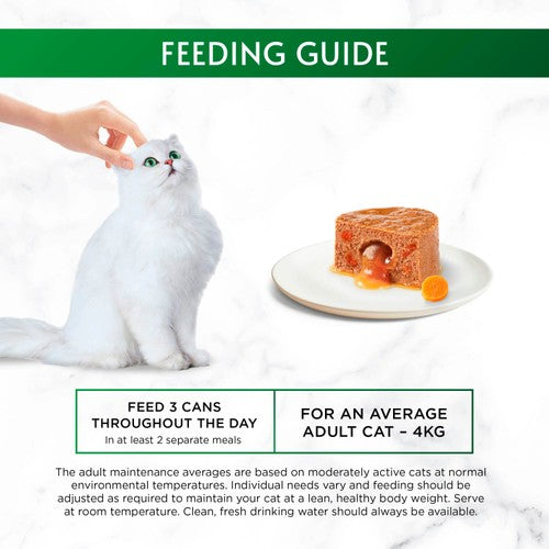 Gourmet wet cat food chicken 85g, UK version
