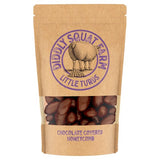 Diddly Squat Farm Little Turds chocolate honeycomb bites (British brand)