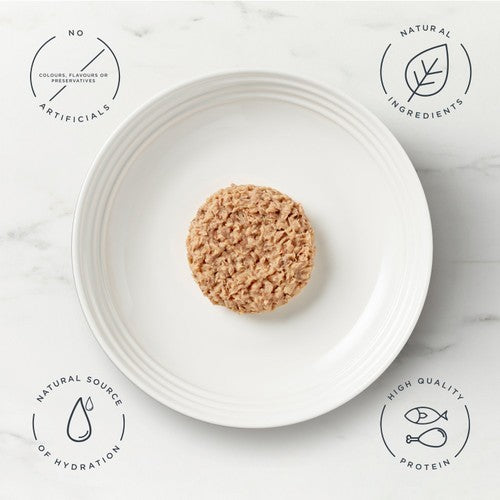 Encore senior cat fish in jelly complementary food multi-pack pouches - British product