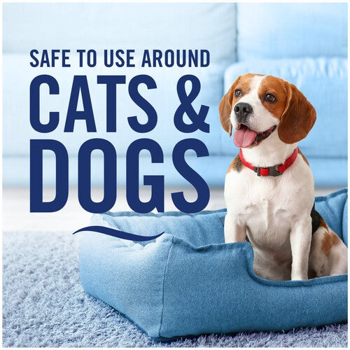 Febreze Fabric Refresher Orange Mrs Hinch Cosy Season