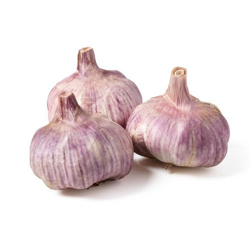 Natoora Purple Garlic