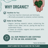 Green Origins Organic Super Mushroom Blend