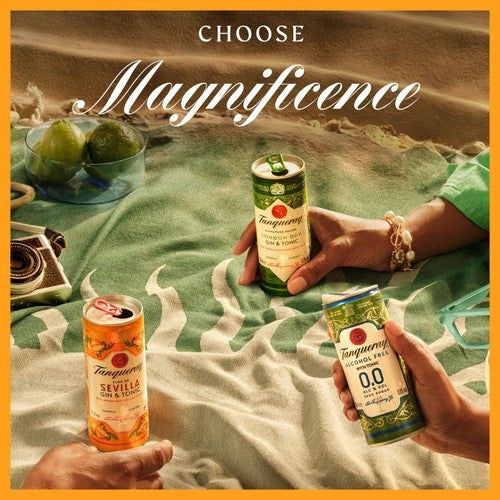 Tanqueray Flor de Sevilla gin and tonic ready-to-drink can 250ml (British brand)