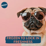 BOOST Pet Chicken with Superfoods Meal for Dogs