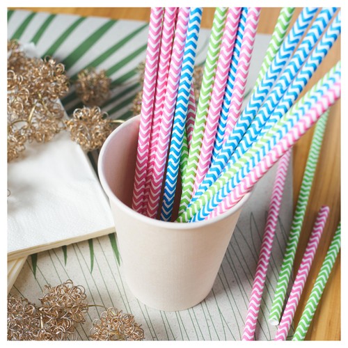 Duni Bio recyclable paper straws 50 pack, imported from the UK