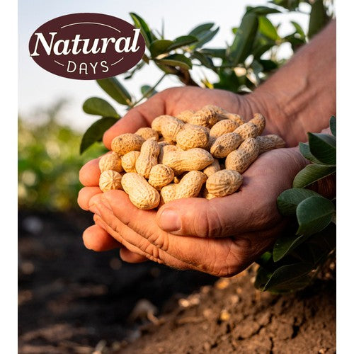 Natural Days lightly roasted monkey nuts 250g, imported from the UK