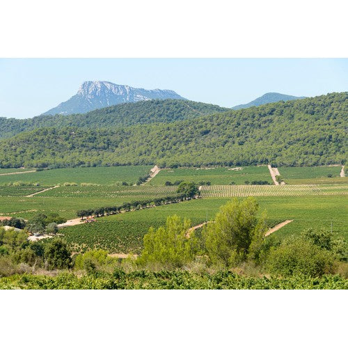 Chateau La Gordonne Rosé Magnum 1.5L - British product
