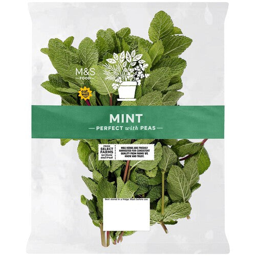 Cook With MS Large Mint