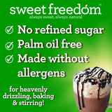 Sweet Freedom Choc Shot chocolate syrup 320g (British brand)