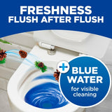 Bloo toilet cleaner block anti-clog pine scent 2x50g - British product