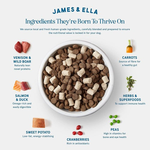 James & Ella raw kibble dog food with freeze-dried game, UK version