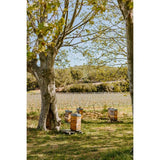 G de Galoupet Organic Provence Rose