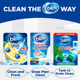 Bloo toilet cleaner block anti-clog pine scent 2x50g - British product