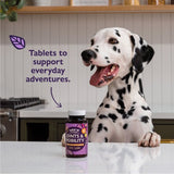 Lily's Kitchen joint supplement 60 tablets, imported from the UK