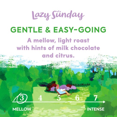 Taylors Lazy Sunday coffee beans 200g (British brand)