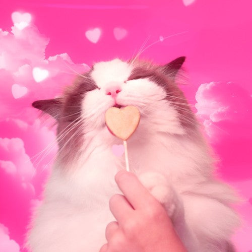 Bonkers Purrpops salmon flavoured cat treats lollipops pack of 4, imported from the UK