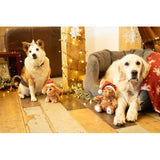 Tufted Dots Coverless Duvet and Pillowcases