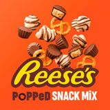 Reese's Snack Mix Chocolate Peanut Butter 113g, imported from the UK