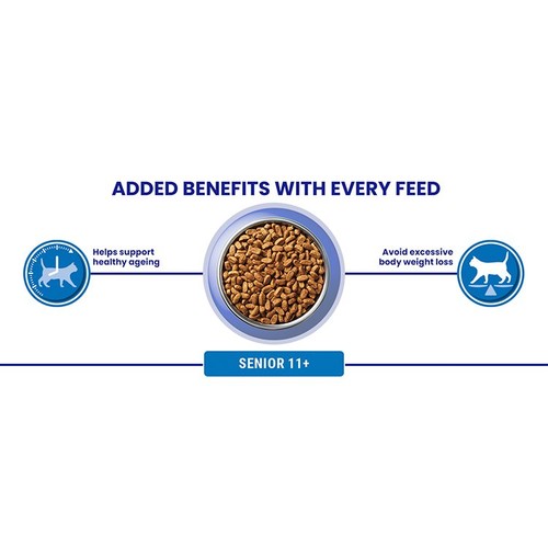 Purina One senior chicken dry cat food (British brand)