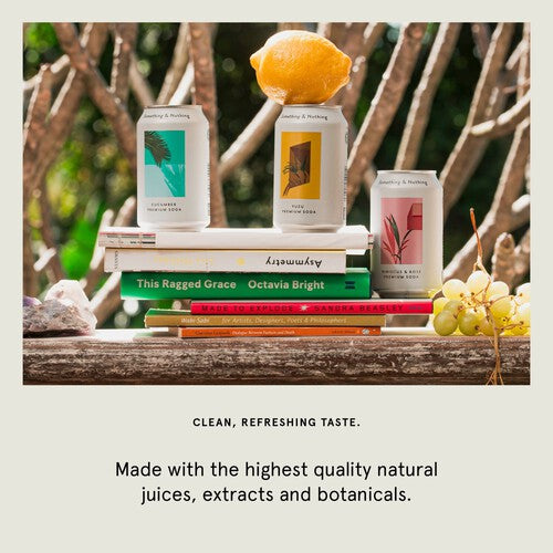 Something  Nothing Mixed Pack 12 Cans Premium Soda