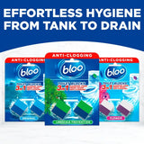 Bloo toilet cleaner block anti-clog pine scent 2x50g - British product