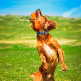 Bionic Bone Small 95cm