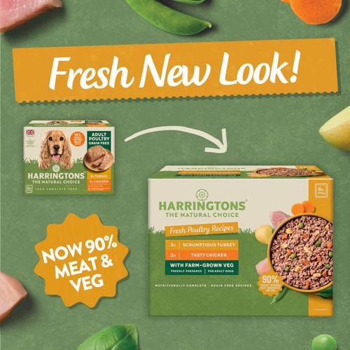 Harringtons Mixed Poultry Wet Dog Food