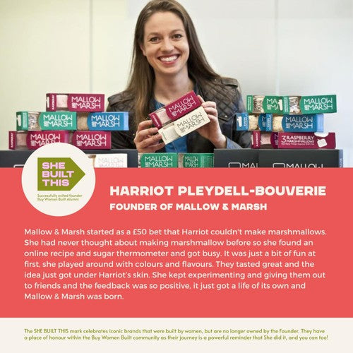 Mallow & Marsh raspberry & 70% dark chocolate marshmallow bar 35g, imported from the UK