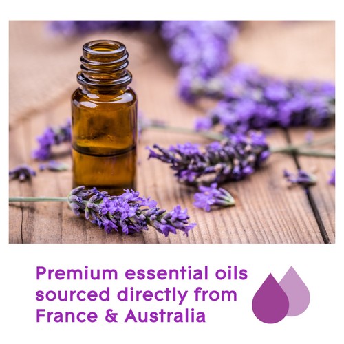 Glade Aromatherapy Reed Diffuser French Lavender Sandalwood 80ml, UK version