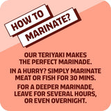 Kikkoman Original Teriyaki Marinade 250ml, UK version