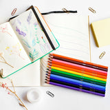 BIC Intensity colouring pencils wallet of 24 - British product