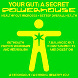 XOXO Sparkling Ginger  Lemon