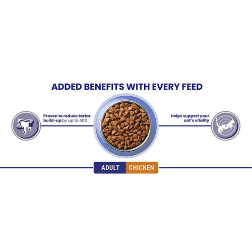Purina One chicken dry cat food - British product