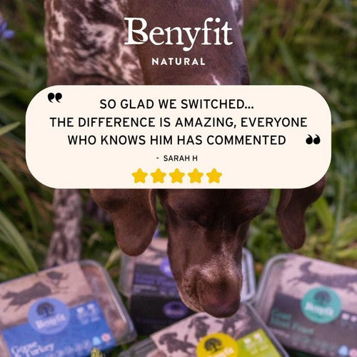 Benyfit Natural Sensitive Complete Raw Dog Food
