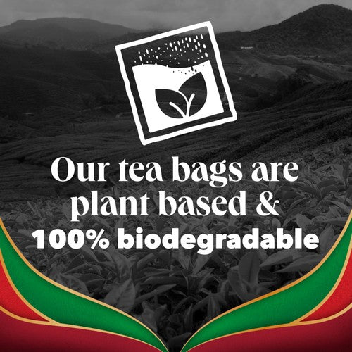 PG Tips English Breakfast tea bags, imported from the UK