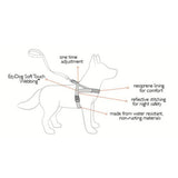 EzyDog Quick Fit Blue Dog Harness Large