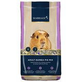 Marriages Adult Guinea Pig Mix