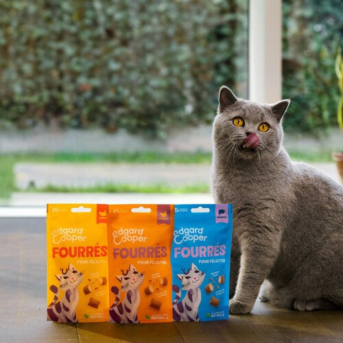 Edgard & Cooper Natural Cat Treat Pillows with Salmon