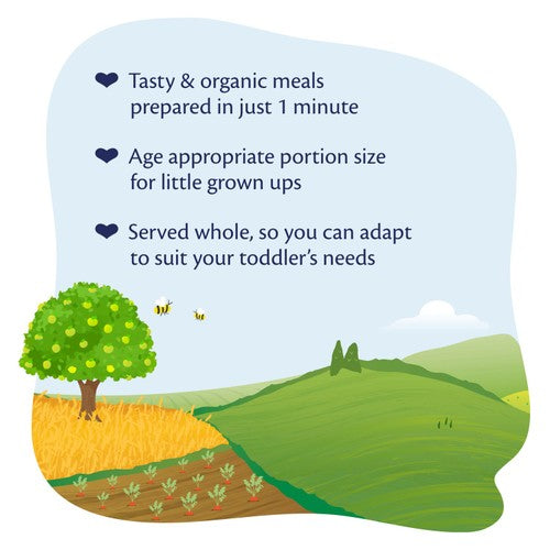 HiPP Organic Vegetable Cannelloni Toddler Tray Meal 15+ Months