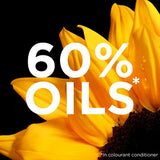 Garnier Olia 60 Light Brown Permanent Hair Dye