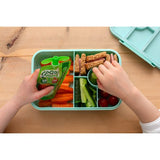 GoGo squeeZ Fruit Smoothie Snack Apple