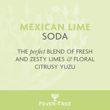 Fever-Tree Mexican lime and yuzu flavoured soda water - British product