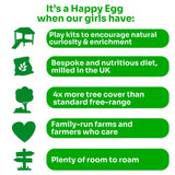 Happy Eggs Large Free Range Eggs 10 pack, UK version