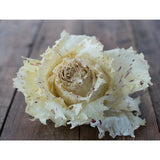 M&S Giant Bourbon Biscuit Make Your Own