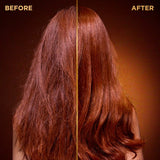 Garnier Ultimate Blends Honey Treasures Shampoo