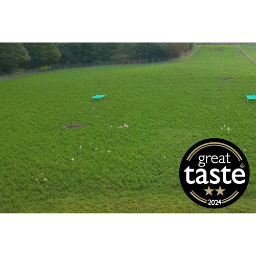 Packington free range white eggs 6 pack, imported from the UK