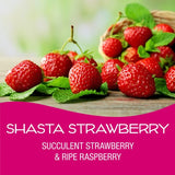 California Scents Car Scents Shasta Strawberry Car Air Freshener