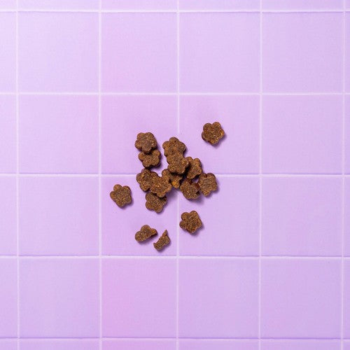Pooch & Mutt turkey and hemp calming dog treats 120g, imported from the UK